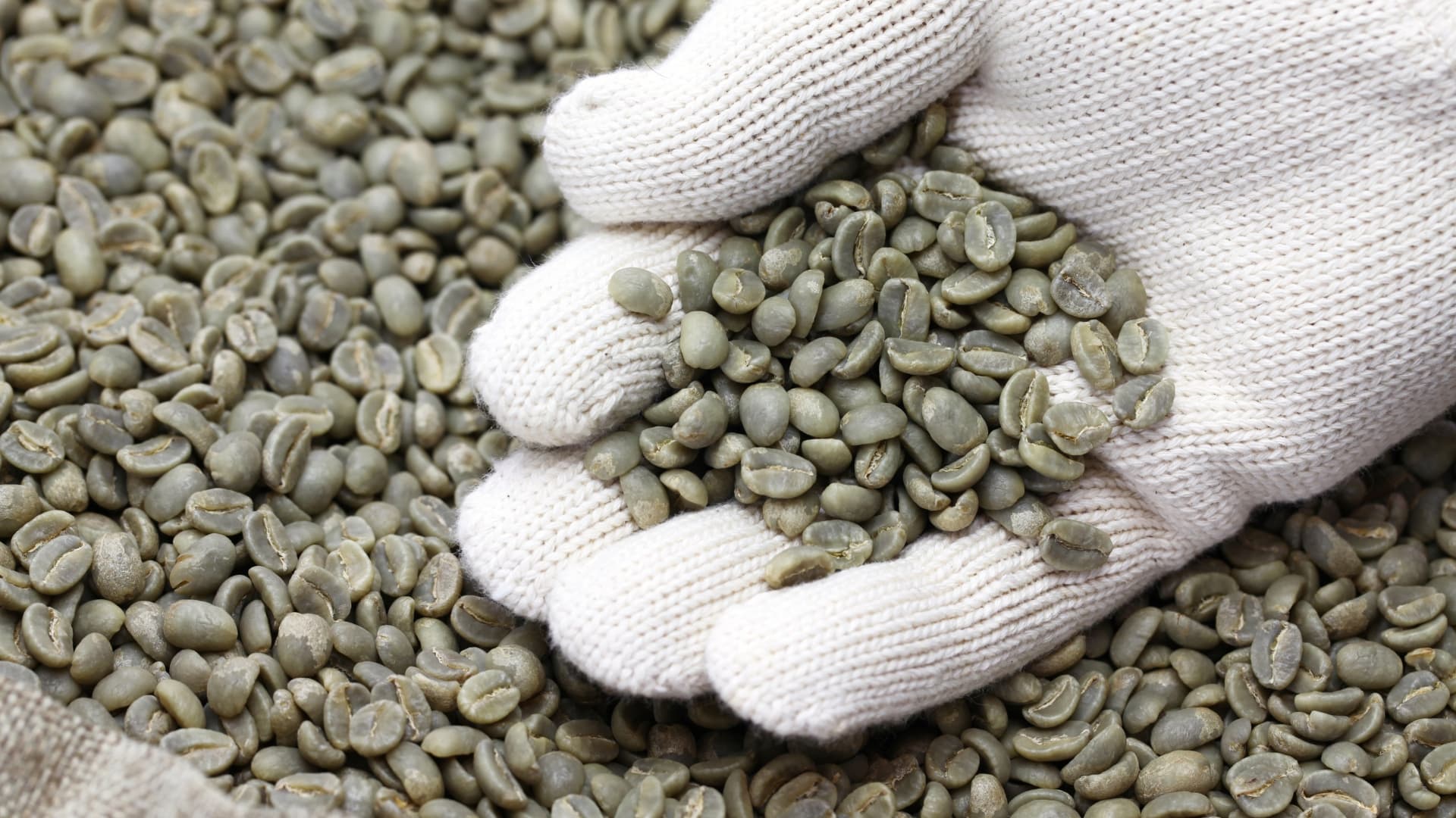 nepals best coffee green beans roasted beans washed natural and aayurvedic processed coffee